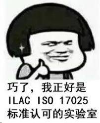 亚马逊美国站对应健身器材UL1647标准的认证测试报告项目亚马逊类目审核要求!样品测试报告格式