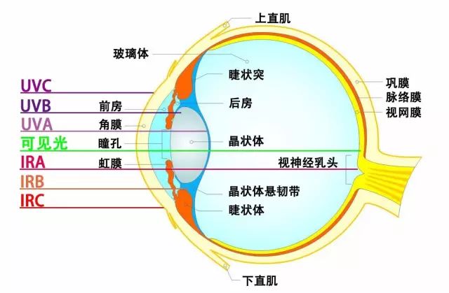 光生物安全2.jpg