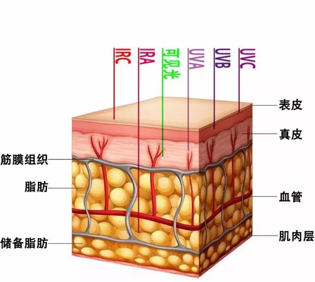 光生物安全3.jpg