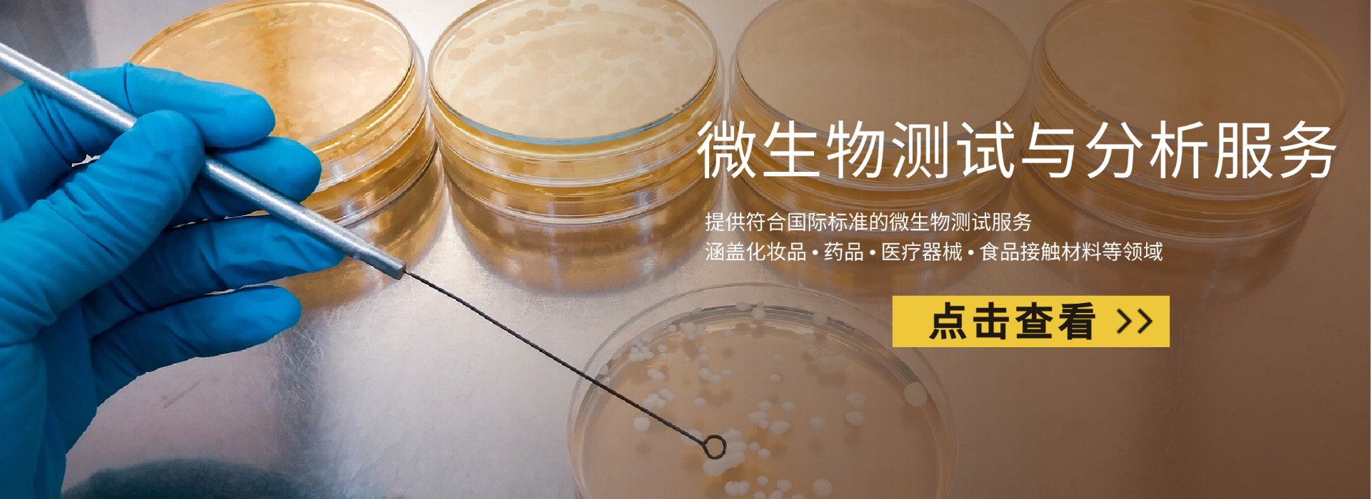 微生物限度检测(图1)