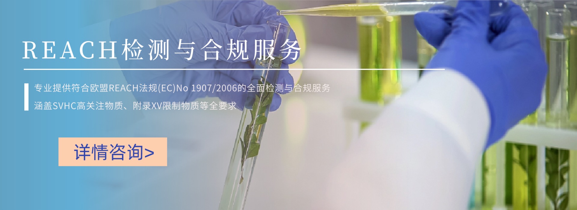 REACH检测与合规服务(图1)