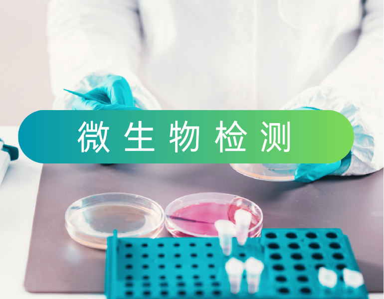 微生物检测