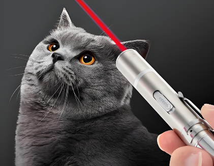 激光逗猫笔FDA注册指南：2026年出口美国合规全流程解析(图1)