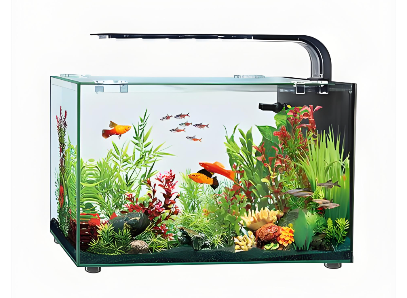 电控水族箱UL1018测试报告办理指南(图1)