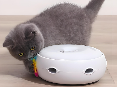 激光逗猫玩具FDA认证与合规指南(图1)